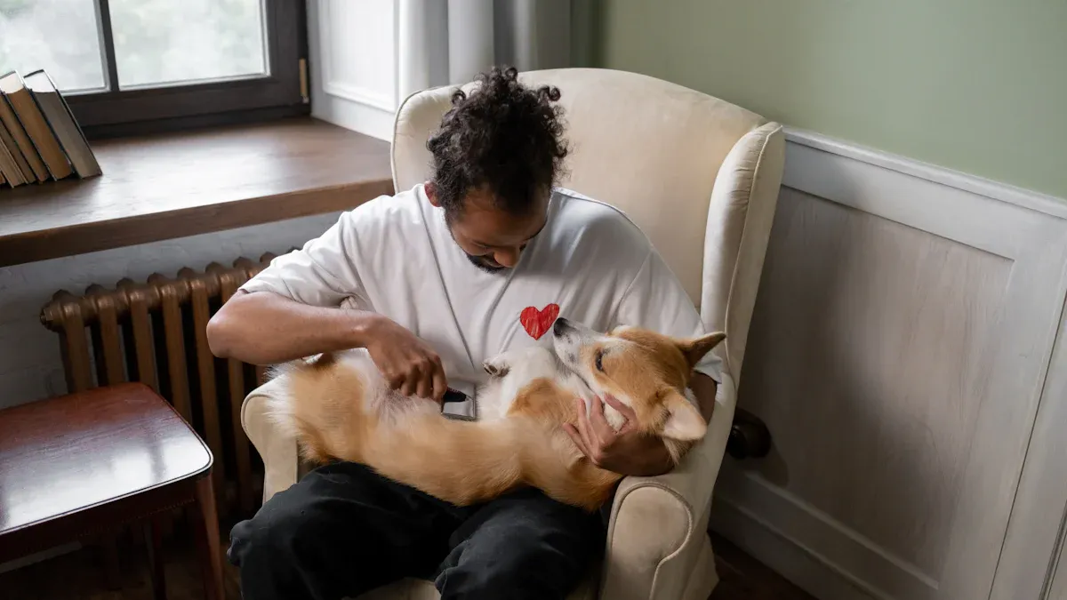 Comfort for Pets