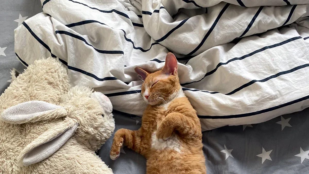 Duvet Covers for Pet Owners