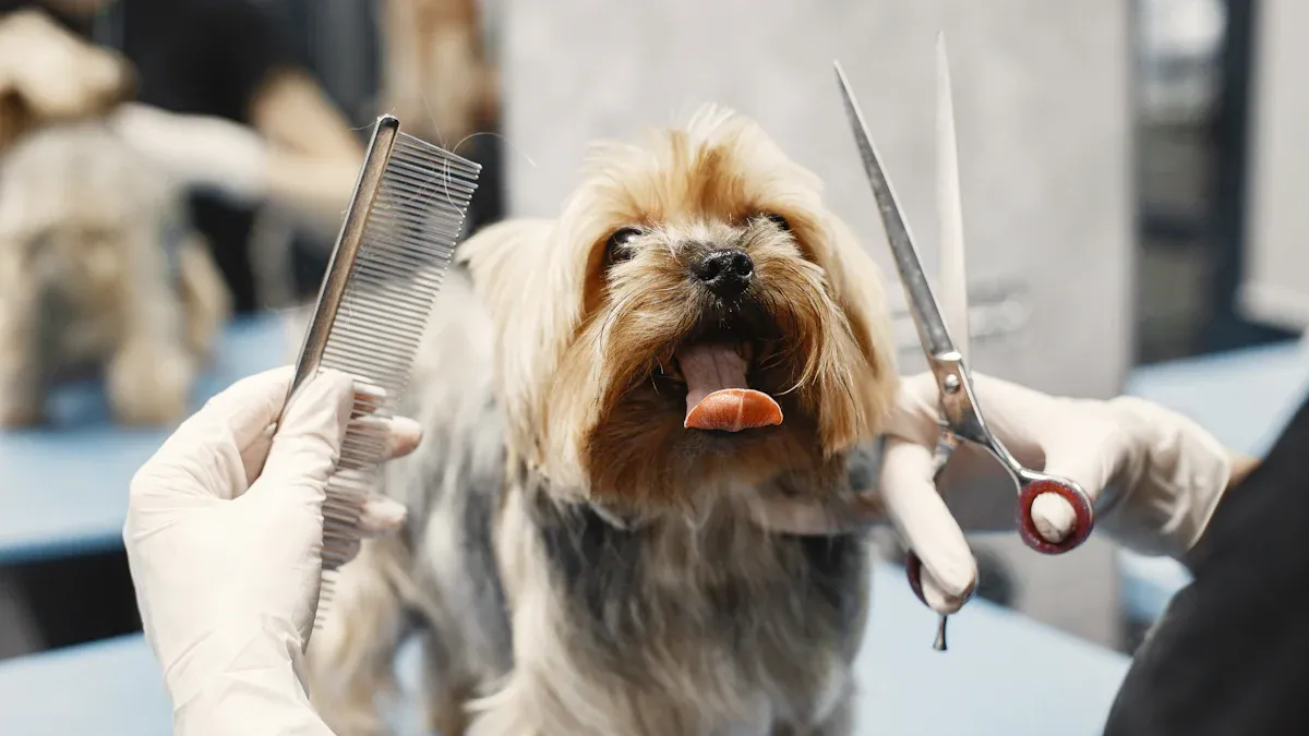Pawswing Autocomb