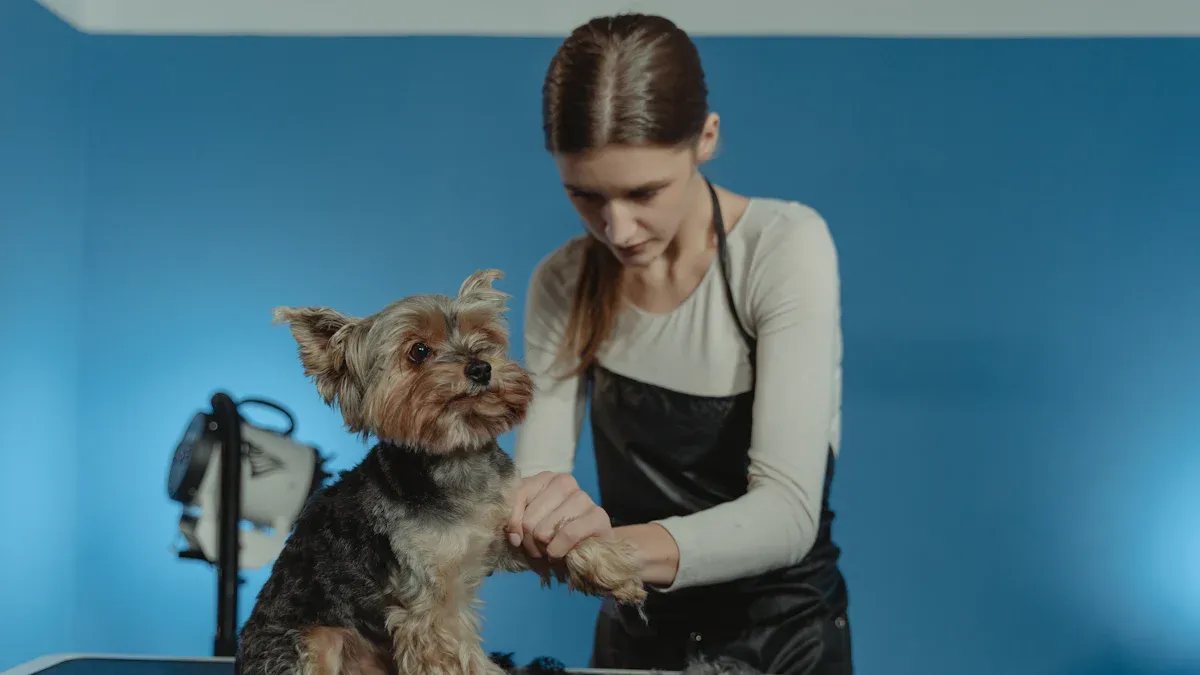 Pawswing Care Basics