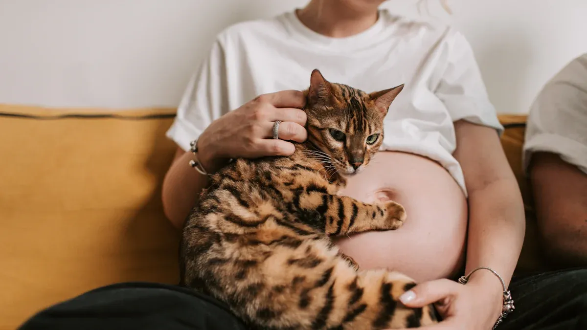 Cat Shedding and Pregnancy