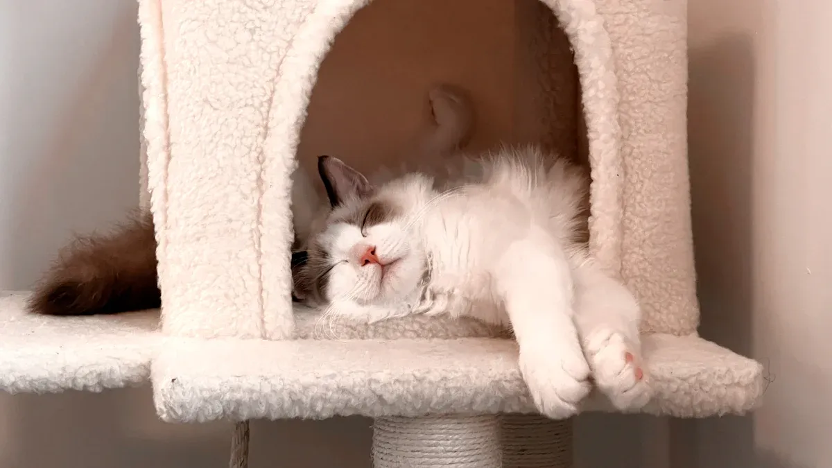 Cat Tower Recommendations