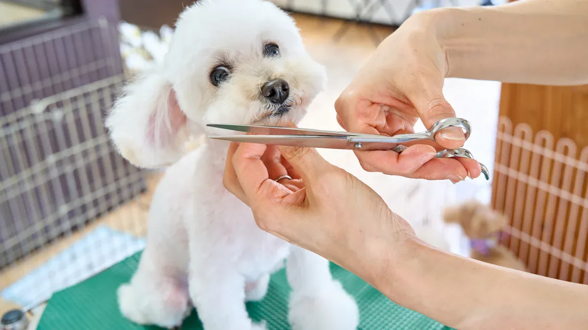 5. Vet checkups for shedding