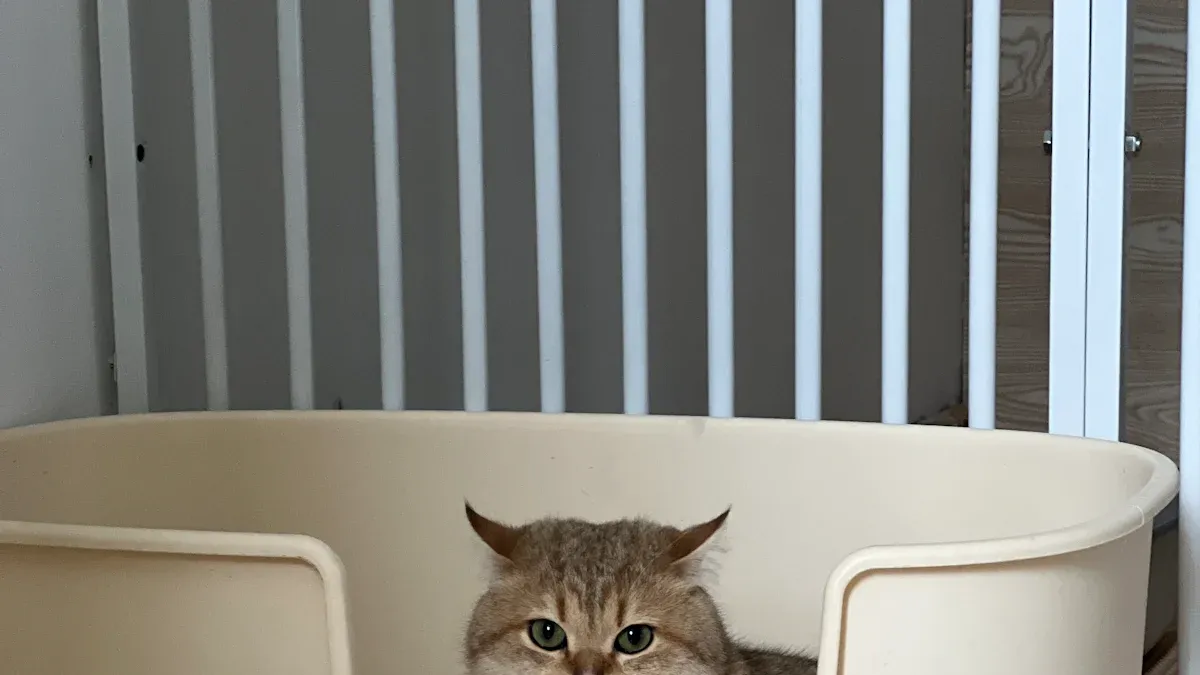 Stainless Steel Cat Litter Box Versus Plastic Options for Modern Homes