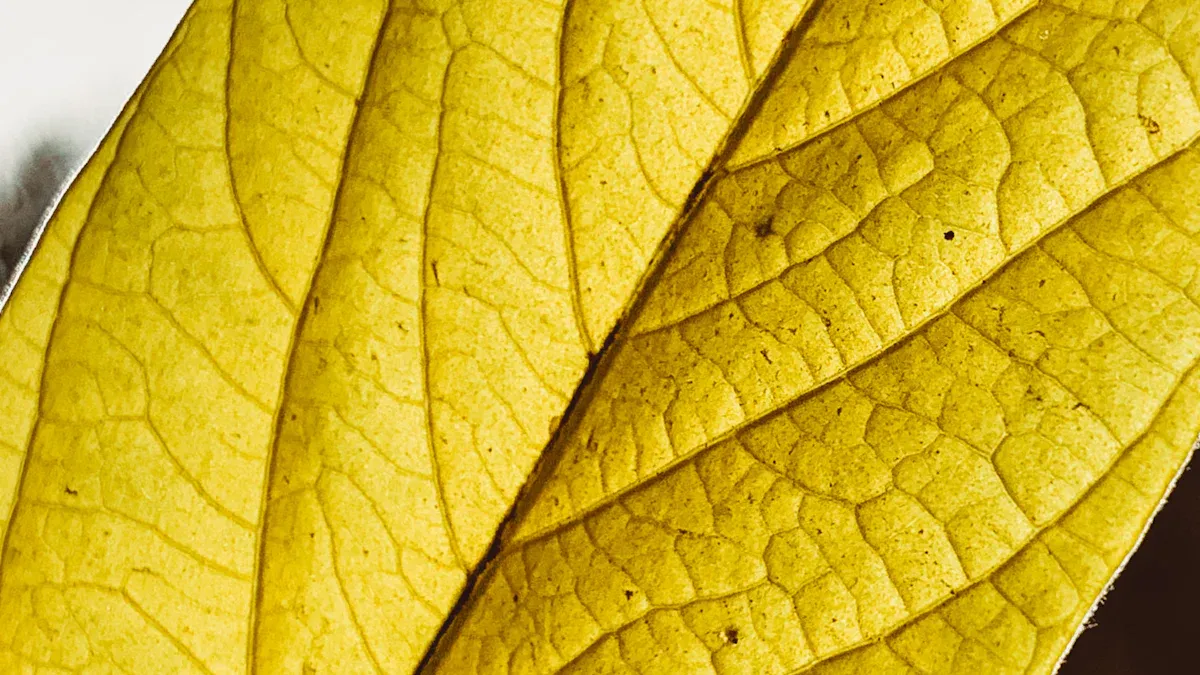 Fumaric acid in plant stress response