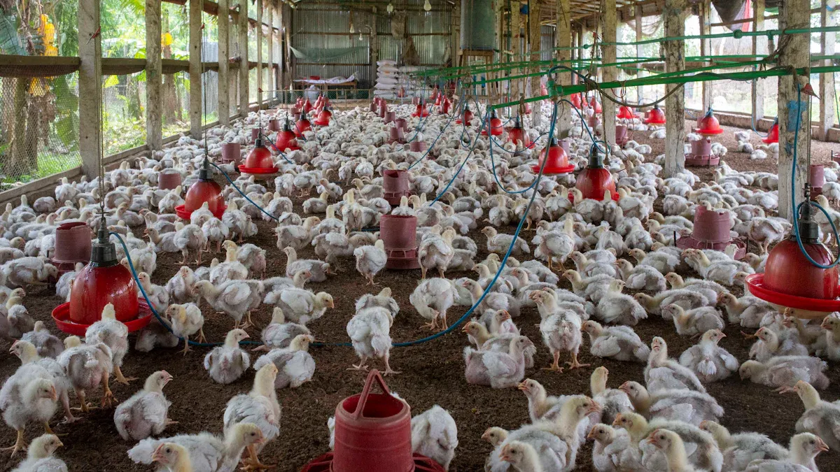 Results of Fumaric Acid Supplementation