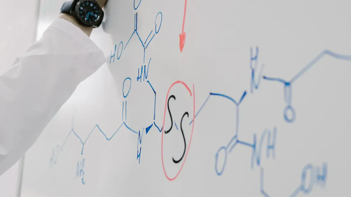 Fumaric acid metabolism