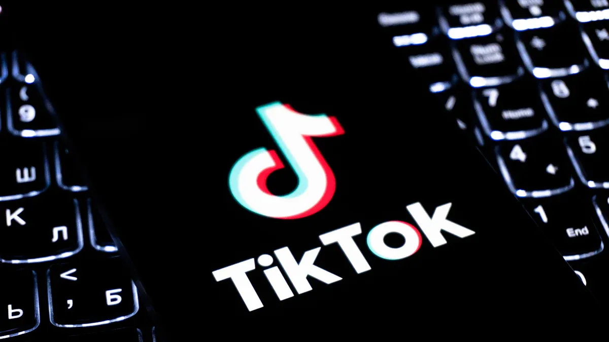 What Is the TikTok API and Who Can Use It