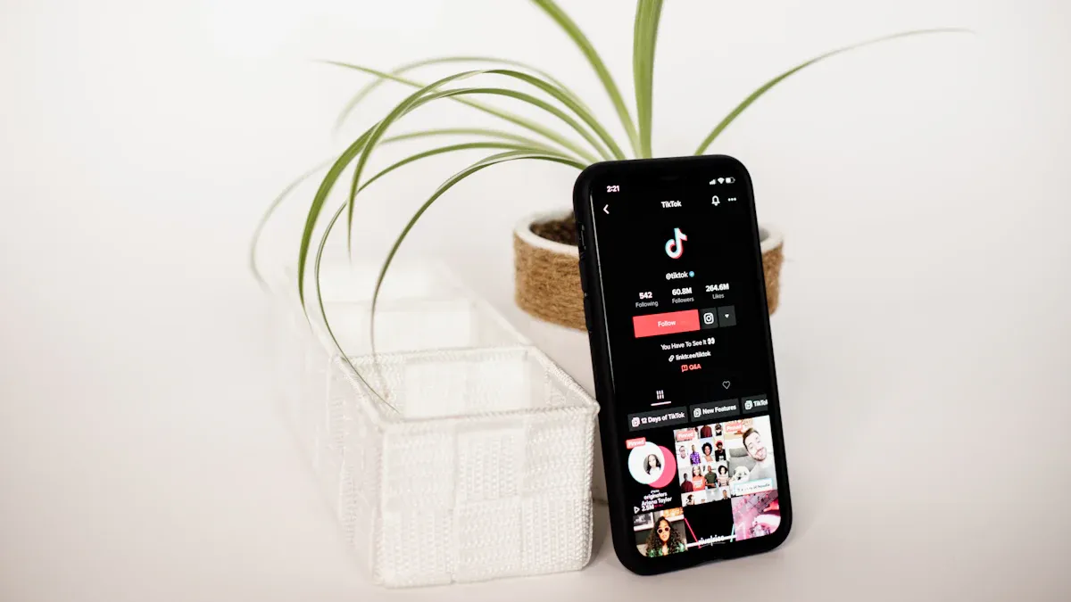 TikTok Seller Center