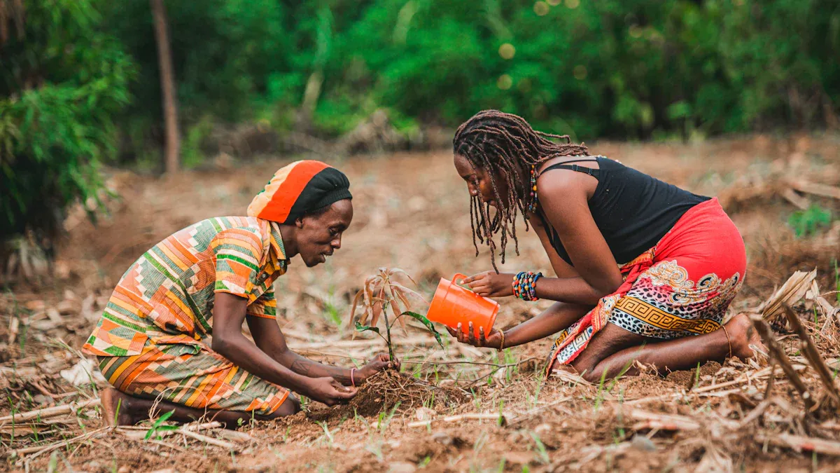 Bridging Financial Gaps in Rural Areas