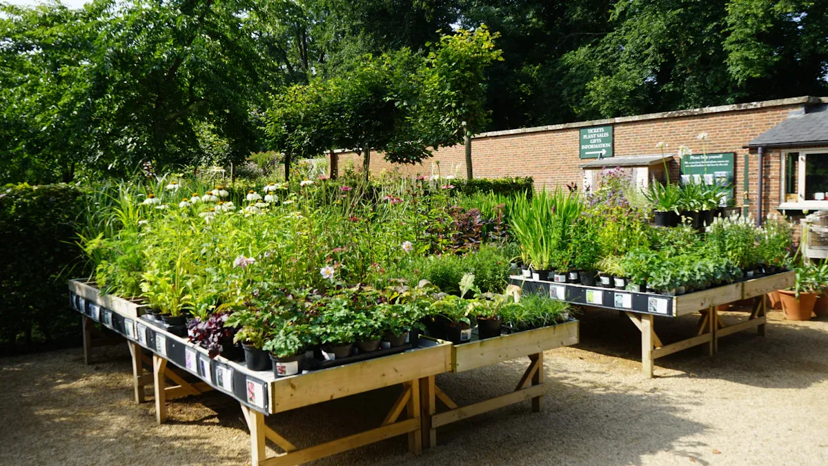 Designing a Community Space Garden