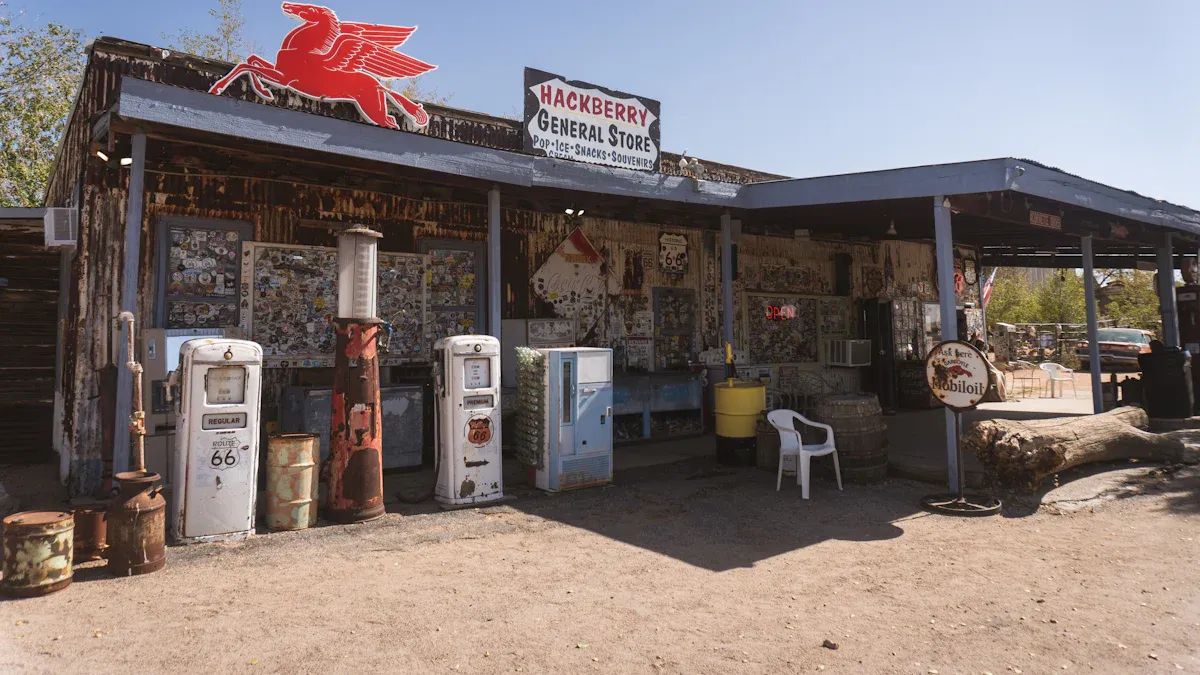 The Early Evolution of Americanas