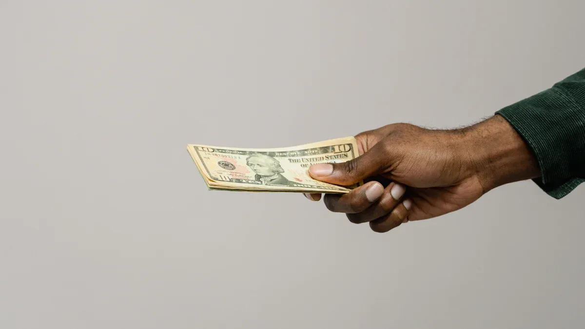 Understanding the TZS Currency