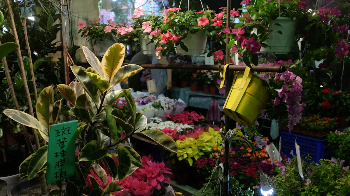 The Rise of Shopee Brazil