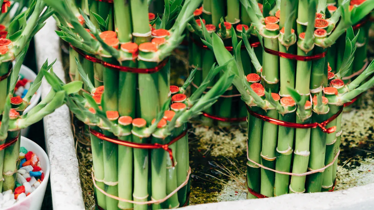 Practical Tips for Using Bangkok Bank PLC SWIFT Codes