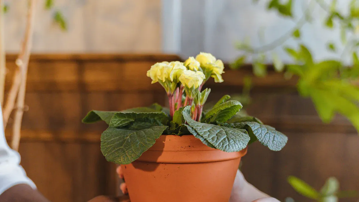 How to Locate and Use the MNNELT21XXX SWIFT Code