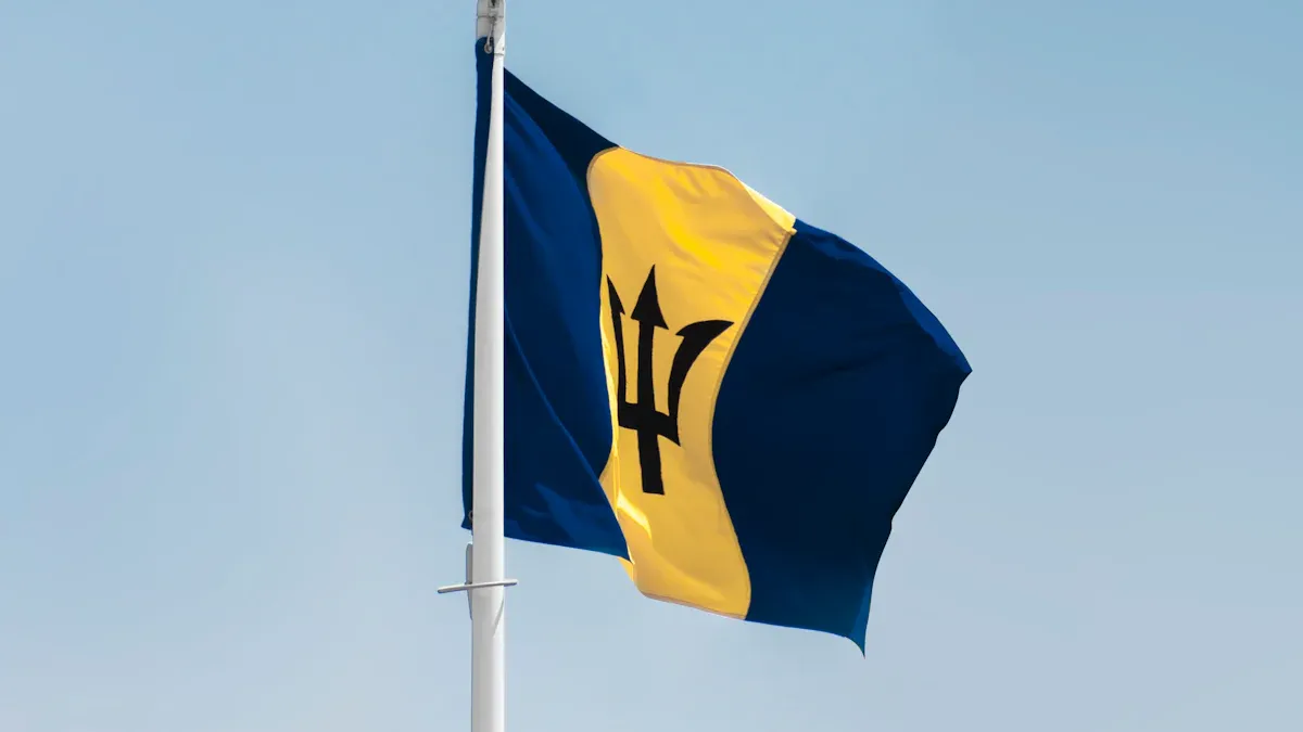 Using Barbados Dollar as a Traveler