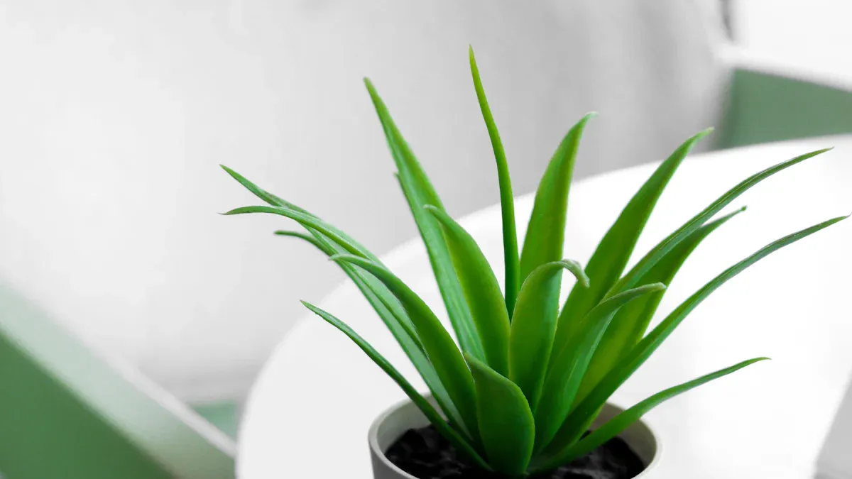 Home Decor Trends at Kmart NZ