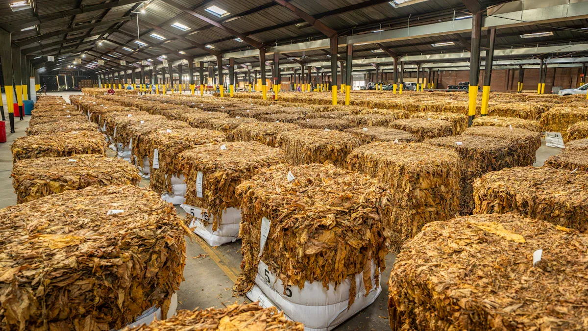 Role of a Supplier in Business