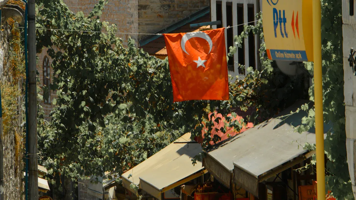 Navigating Turkey'                style=