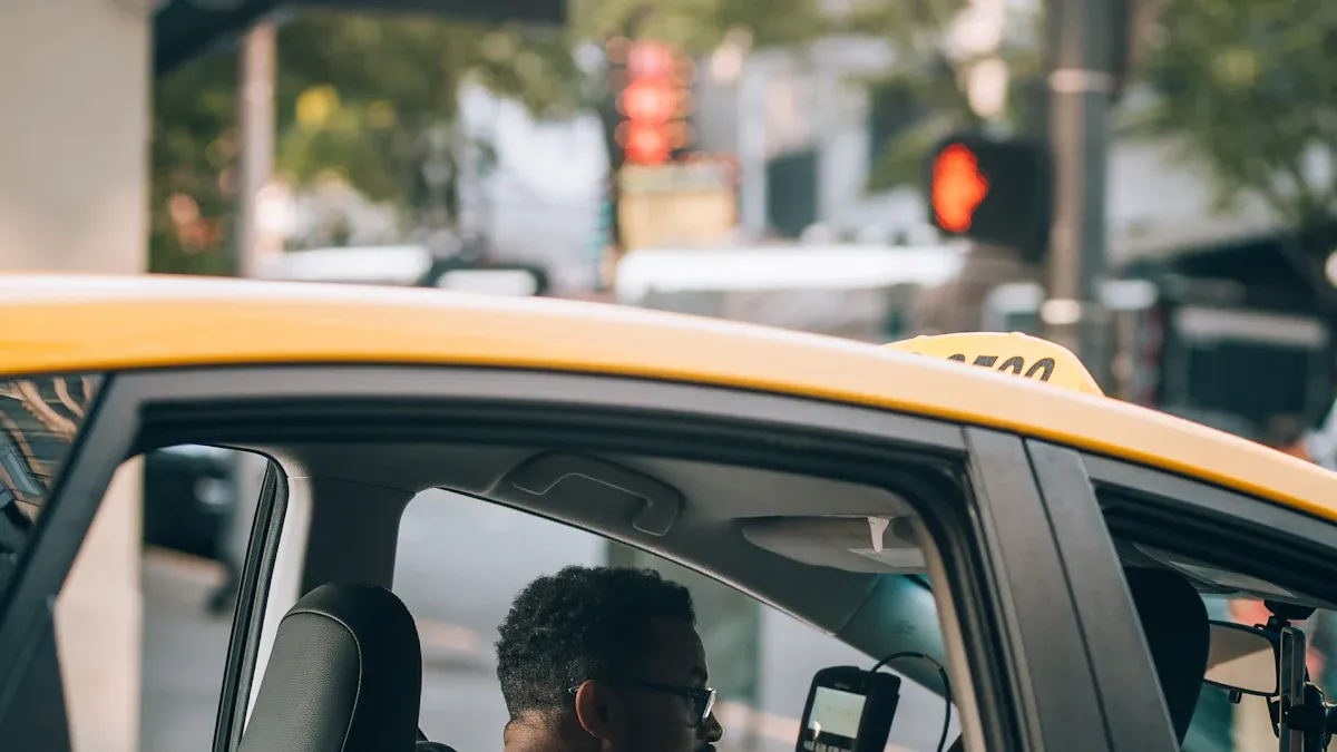 Economic and Trade Implications of Transit Tax