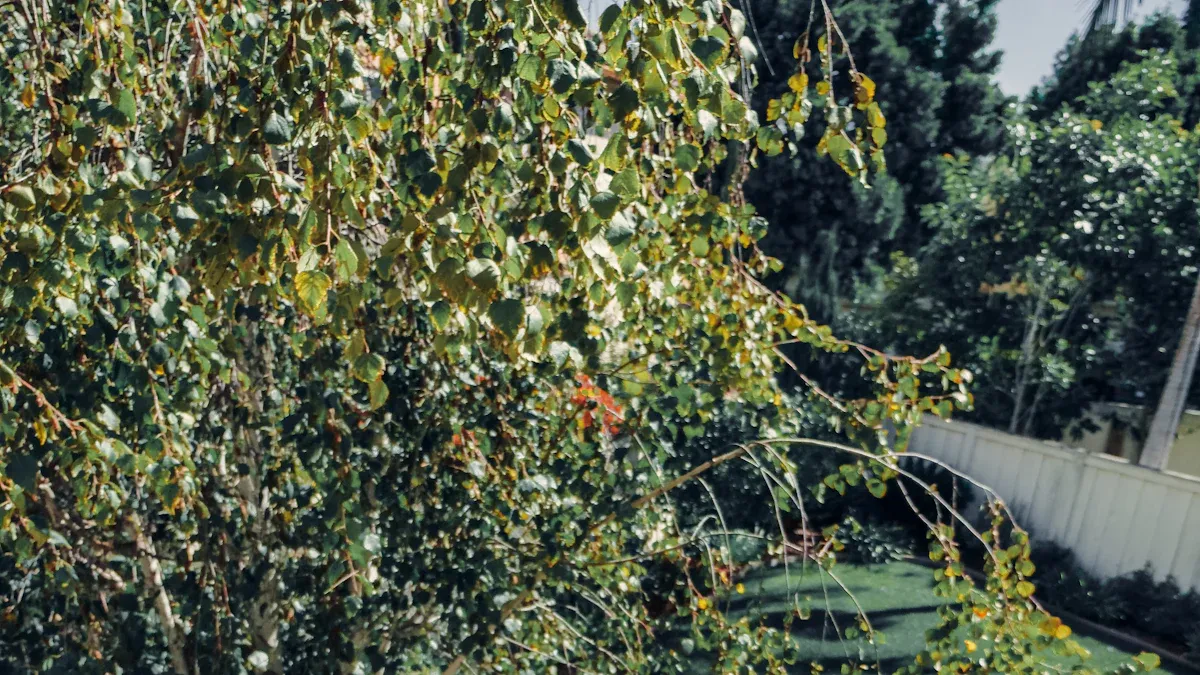 Top Tips for Choosing Durable Solar Powered Roof Tiles