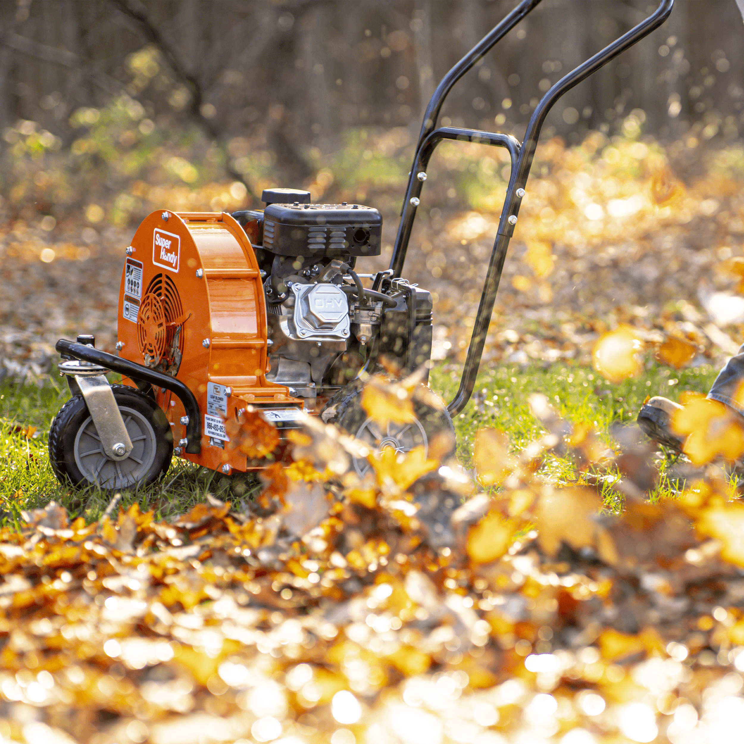Key Features of a Gas Leaf Blower