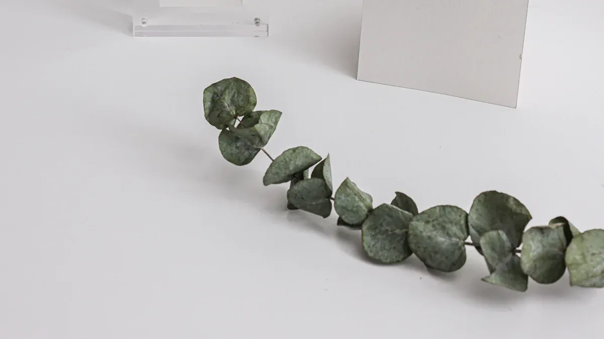 Creative Ways to Use Acrylic Table Top Stands for Showcases