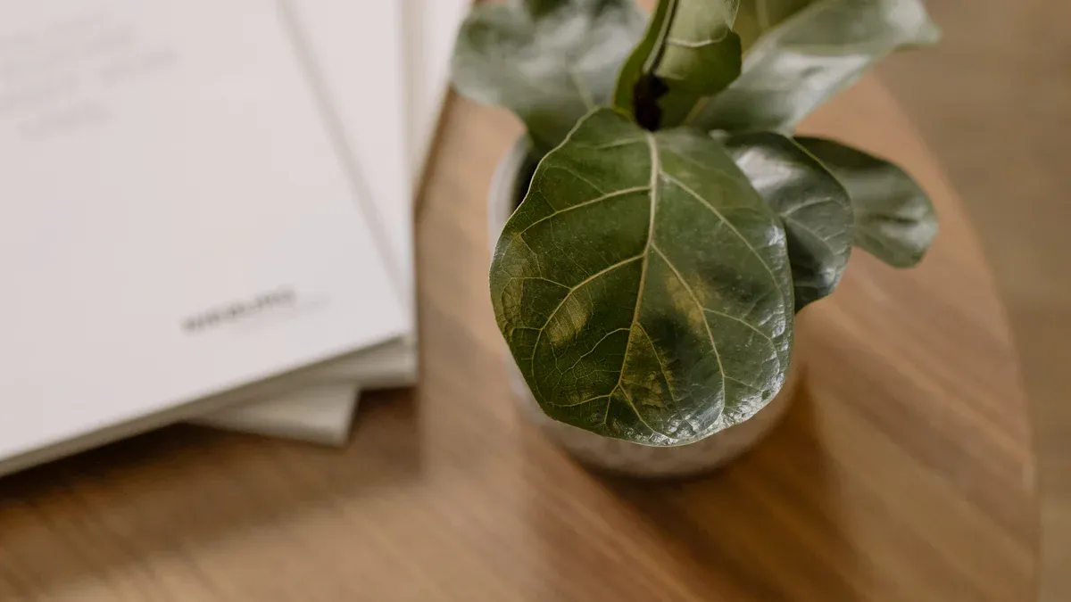 Acrylic Glass Coffee Tables