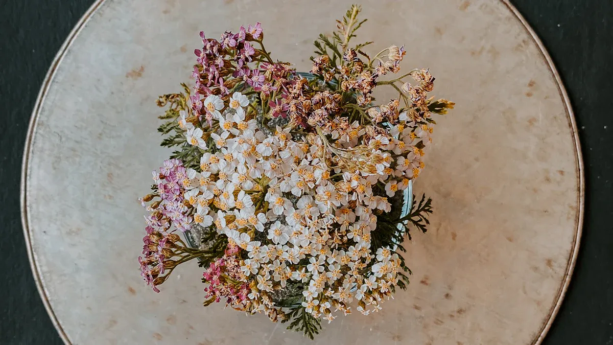 Round Acrylic Trays Designs and Practical Uses Explained