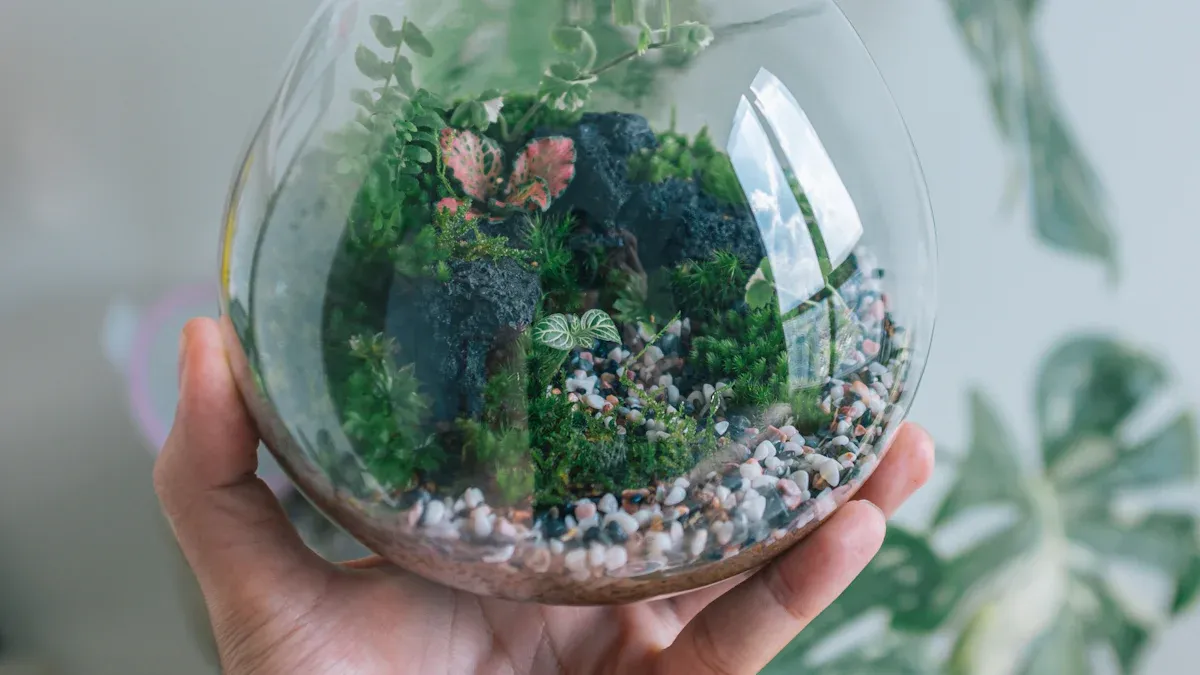 Miniature Terrarium