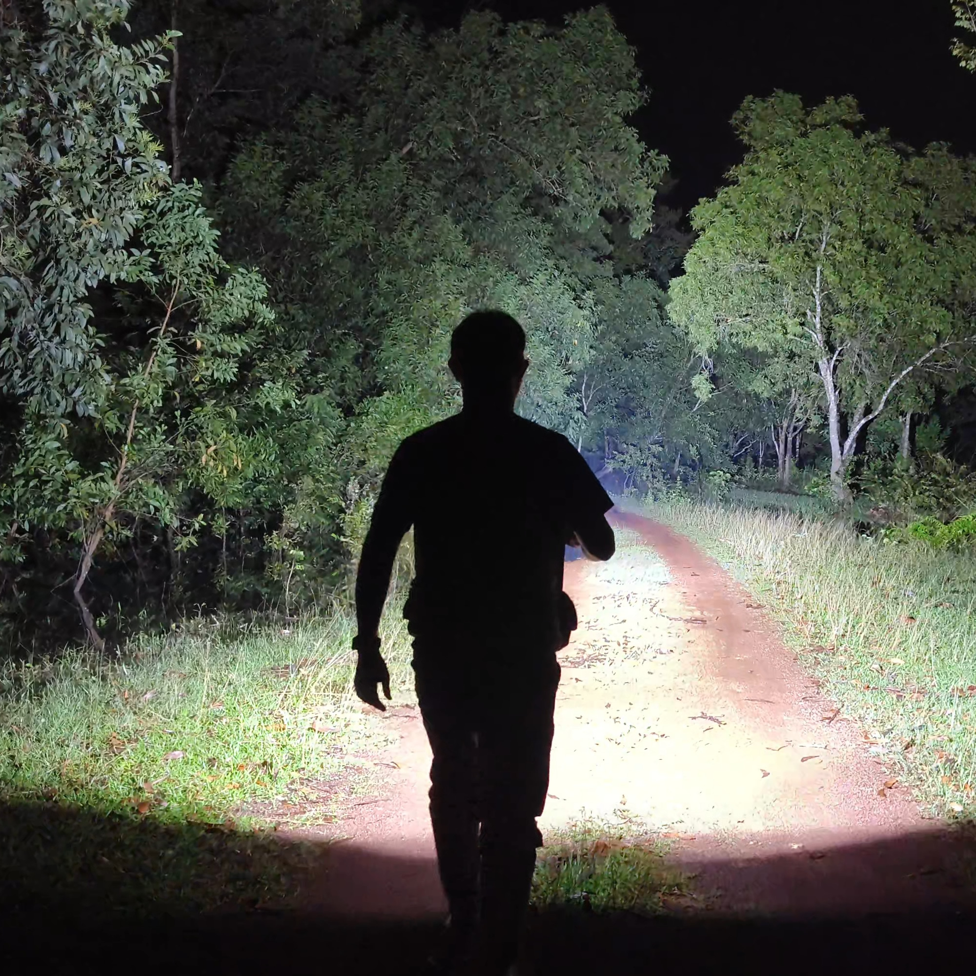 Key Features of a Flashlight for Night Fishing