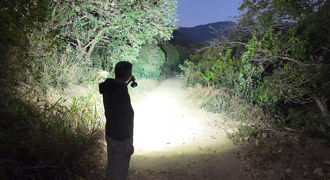 Why the Best Searchlight Sells in B2B Markets