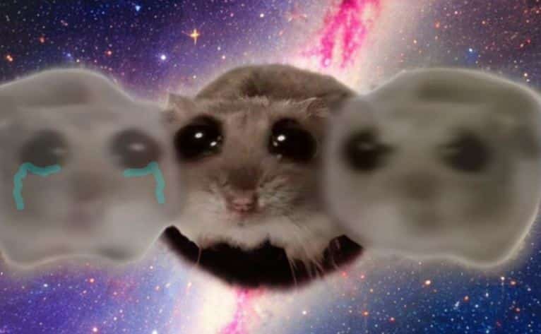 Sad Hamster Song: 10 Funniest Meme Versions