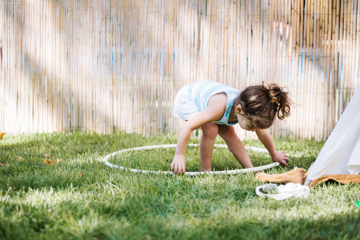 Sensory Garden vs Traditional Garden