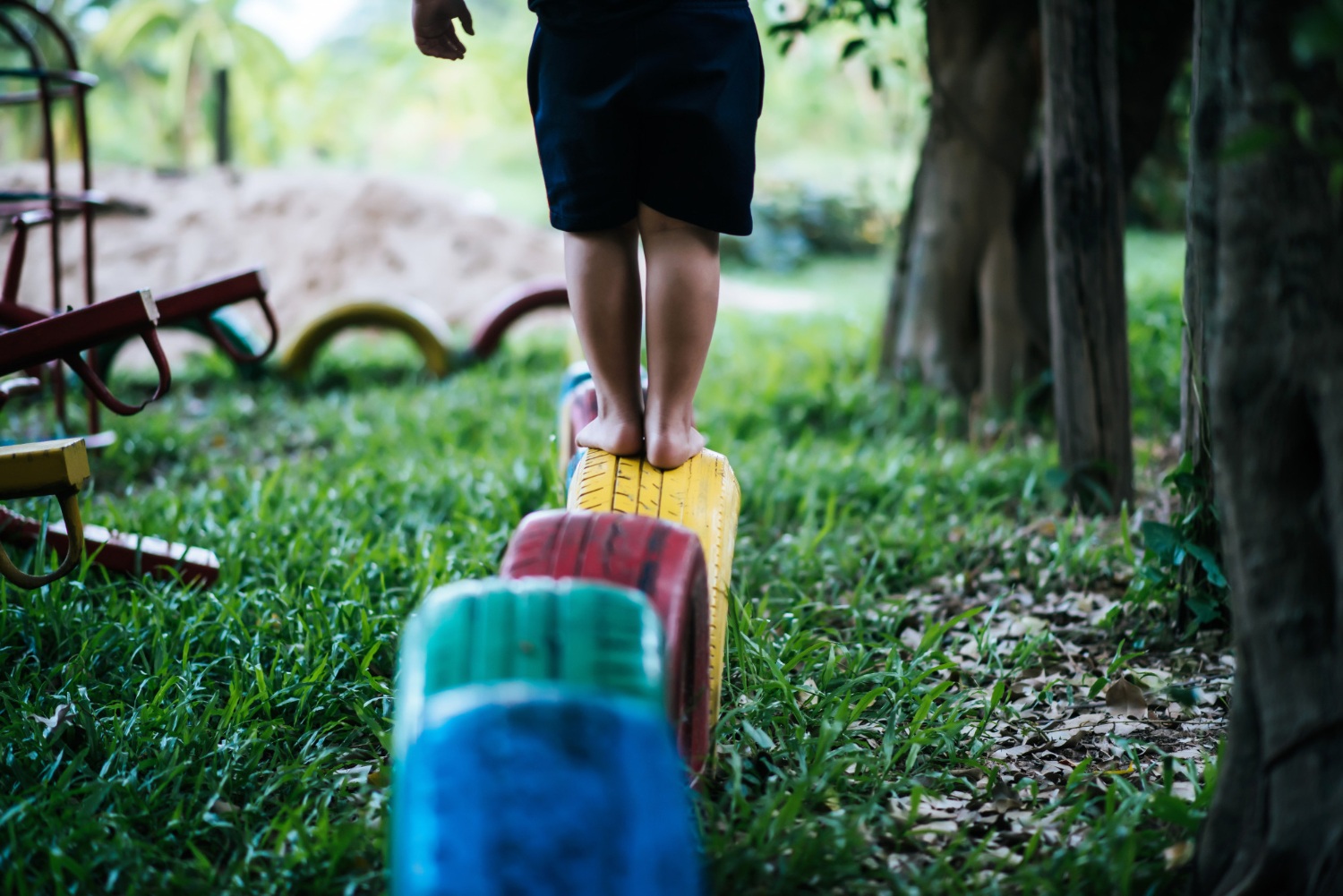 What Makes a Sensory Garden Unique