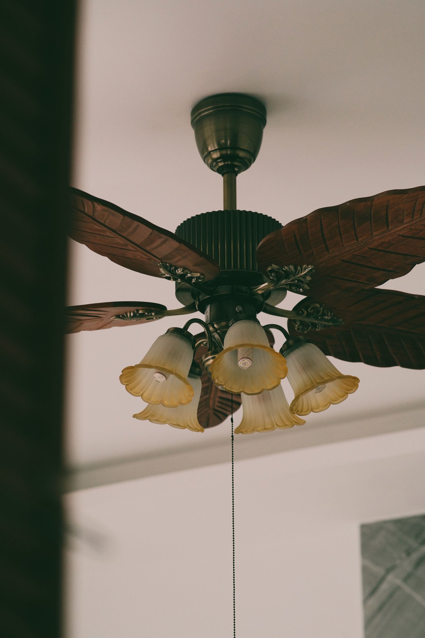 ceiling fan light
