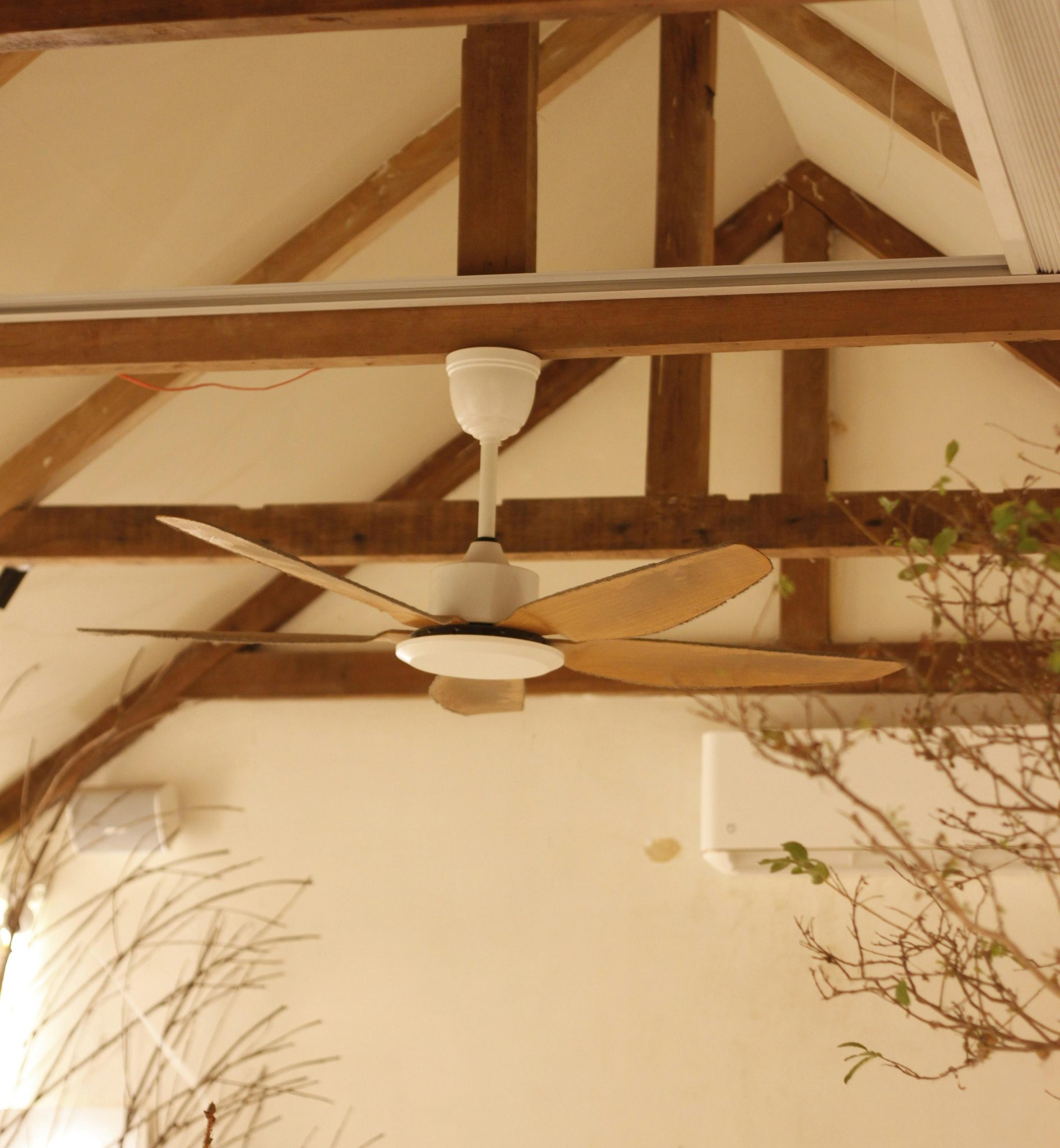 Natural wood ceiling fan with light in a modern organic interior home design