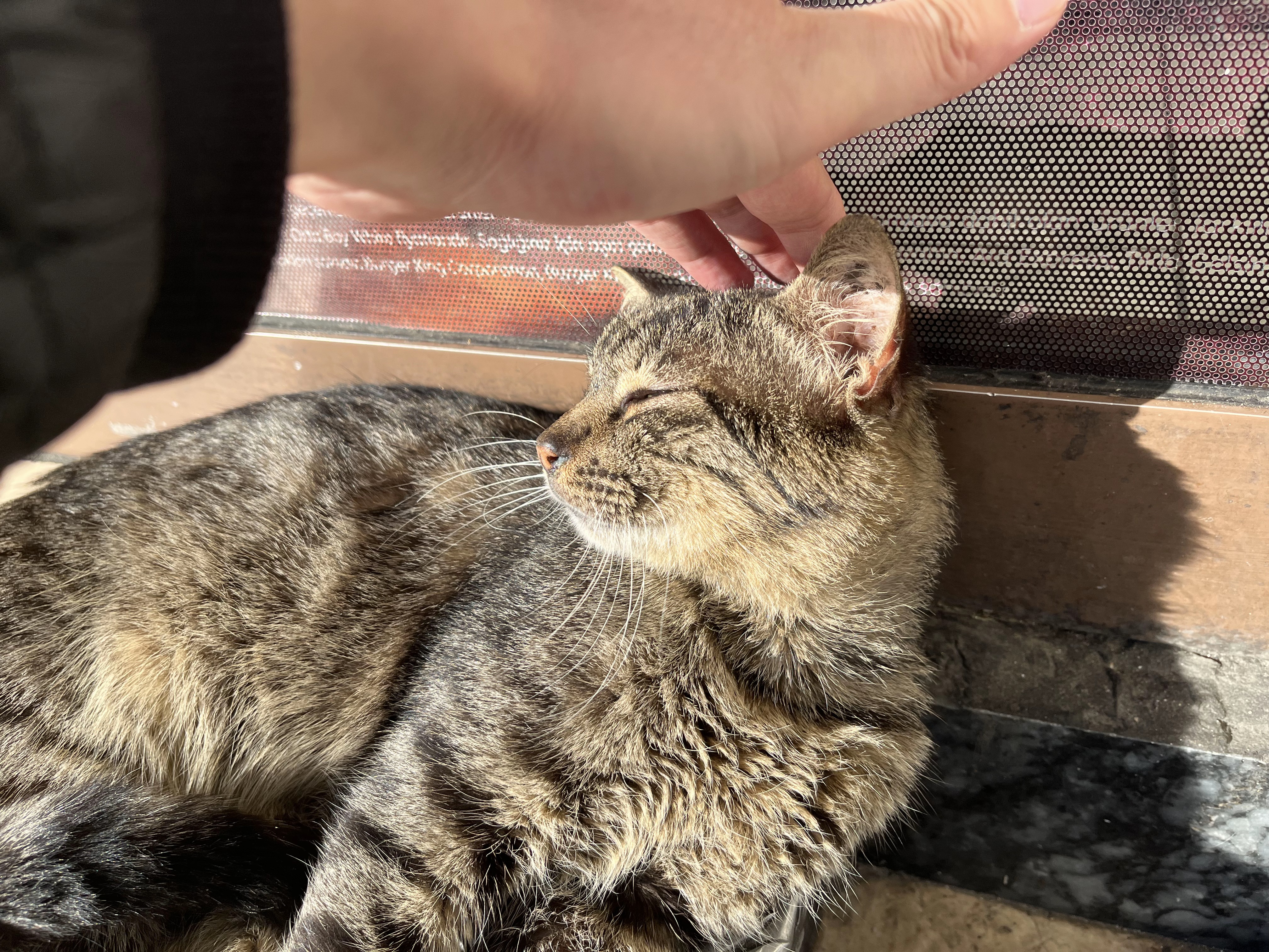 Grooming Technology