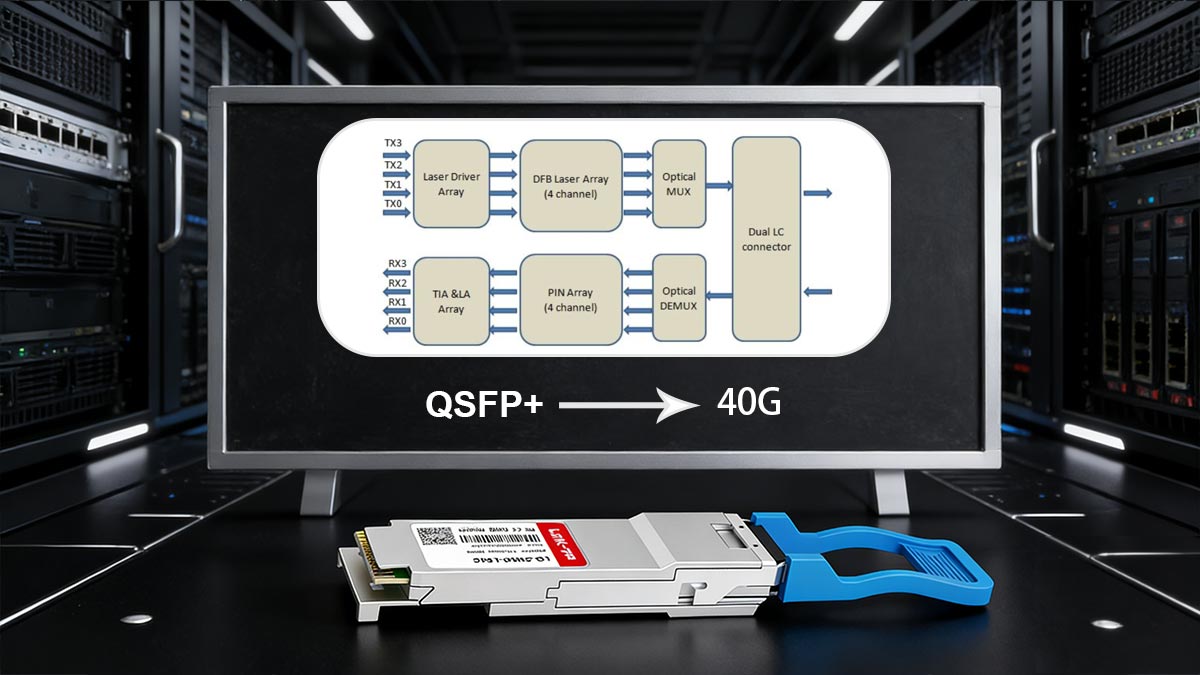 What Is the Data Rate of QSFP+ ?