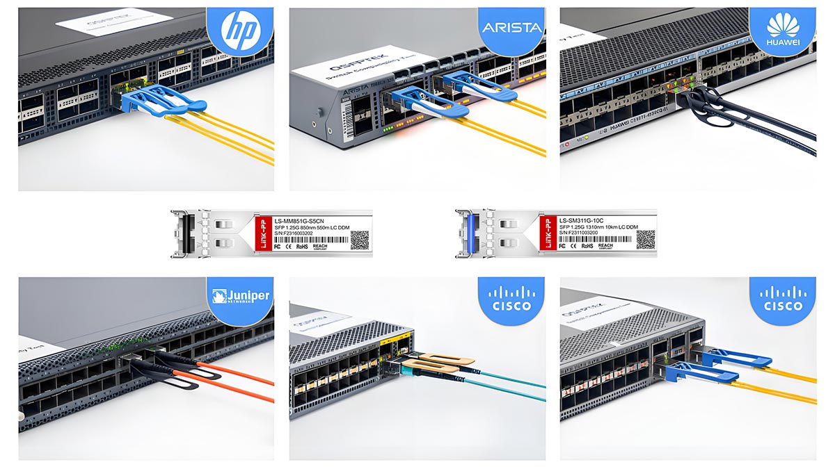 What Is SFP Compatibility?
