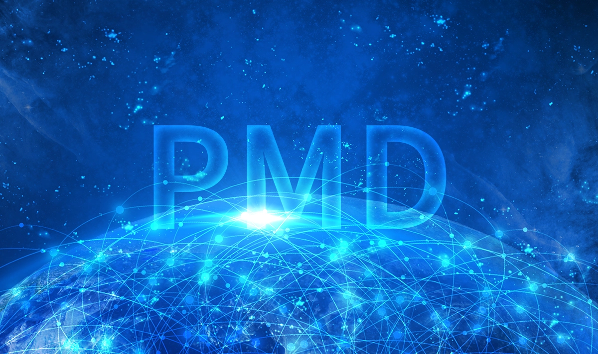 PMD (Physical Medium Dependent)