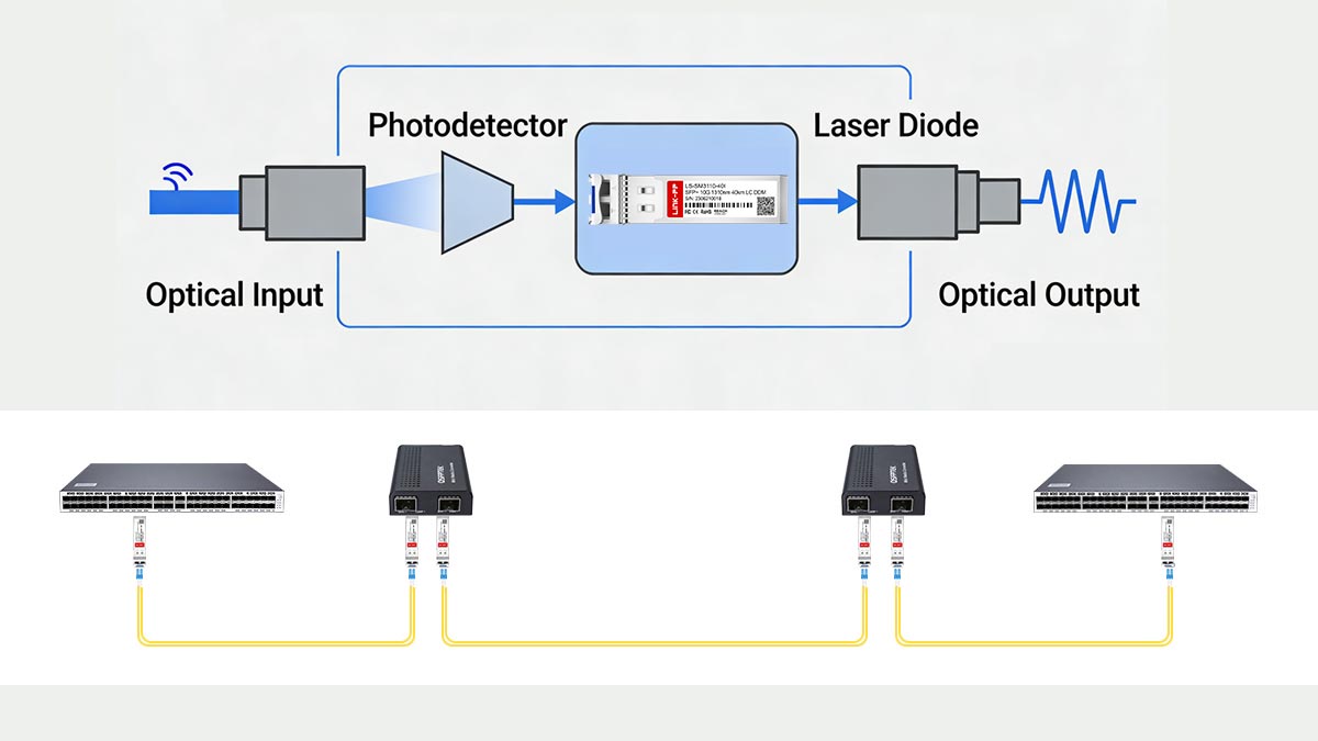 How SFP+ Modules Work Inside a Switch or Router