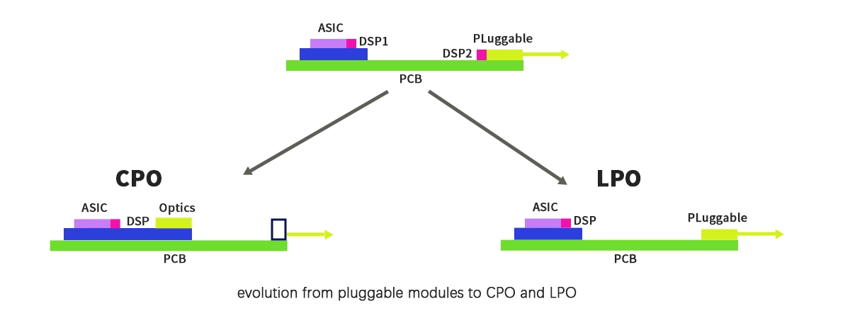 CPO vs LPO