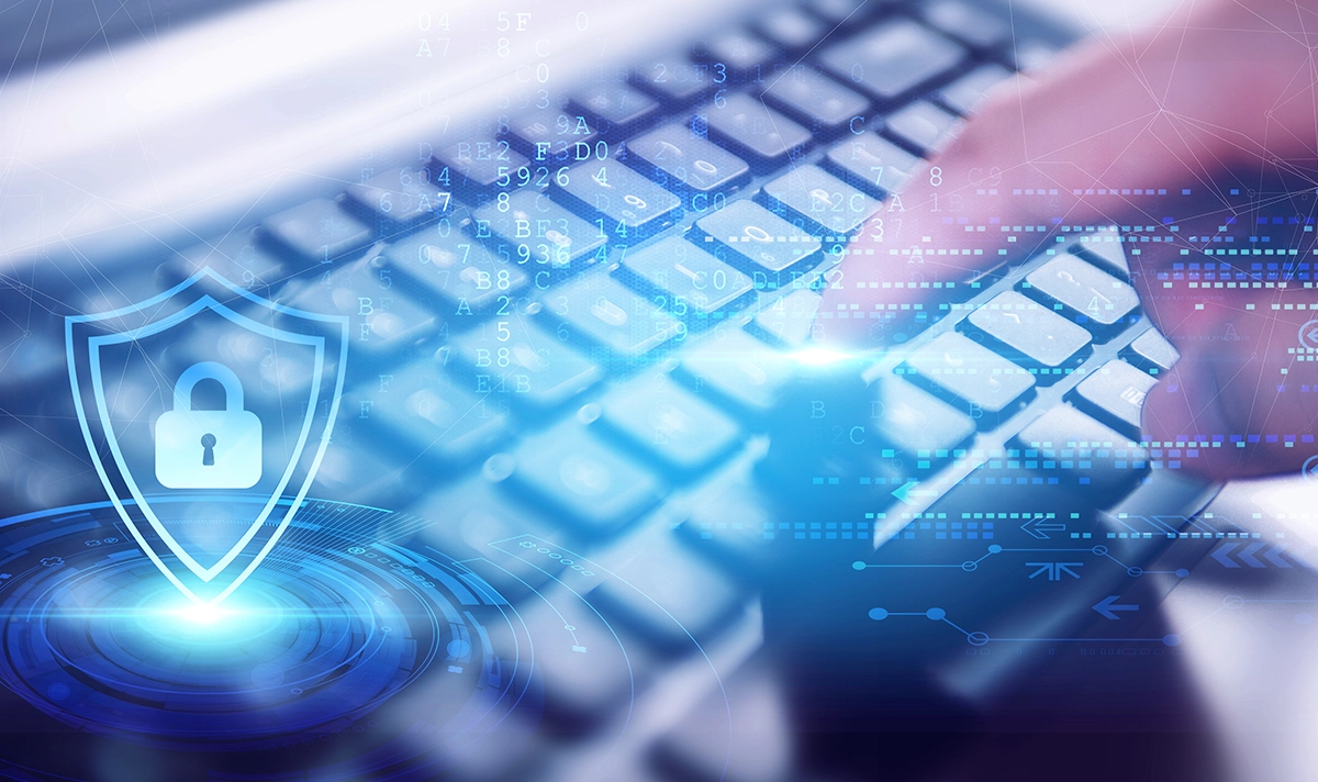 Common Network Issues at the Data Link Layer