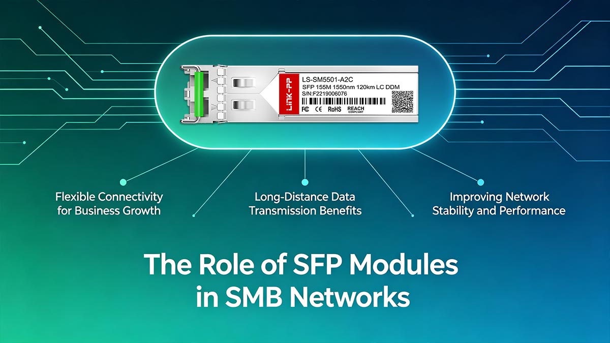 The Role of SFP Modules in SMB Networks