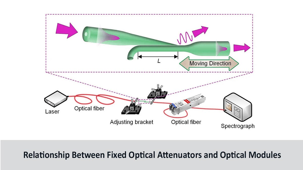 Relationship Between Fixed Optical Attenuators and Optical Modules