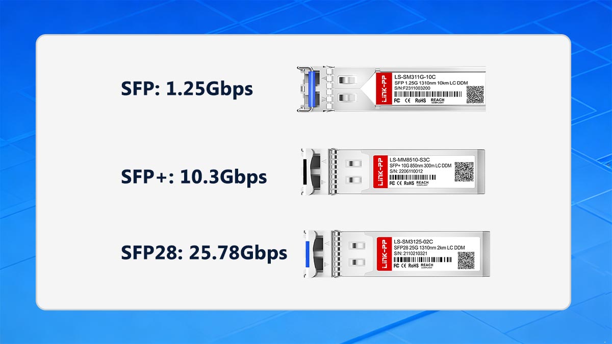 What Is the Data Rate of SFP in Real Deployment?