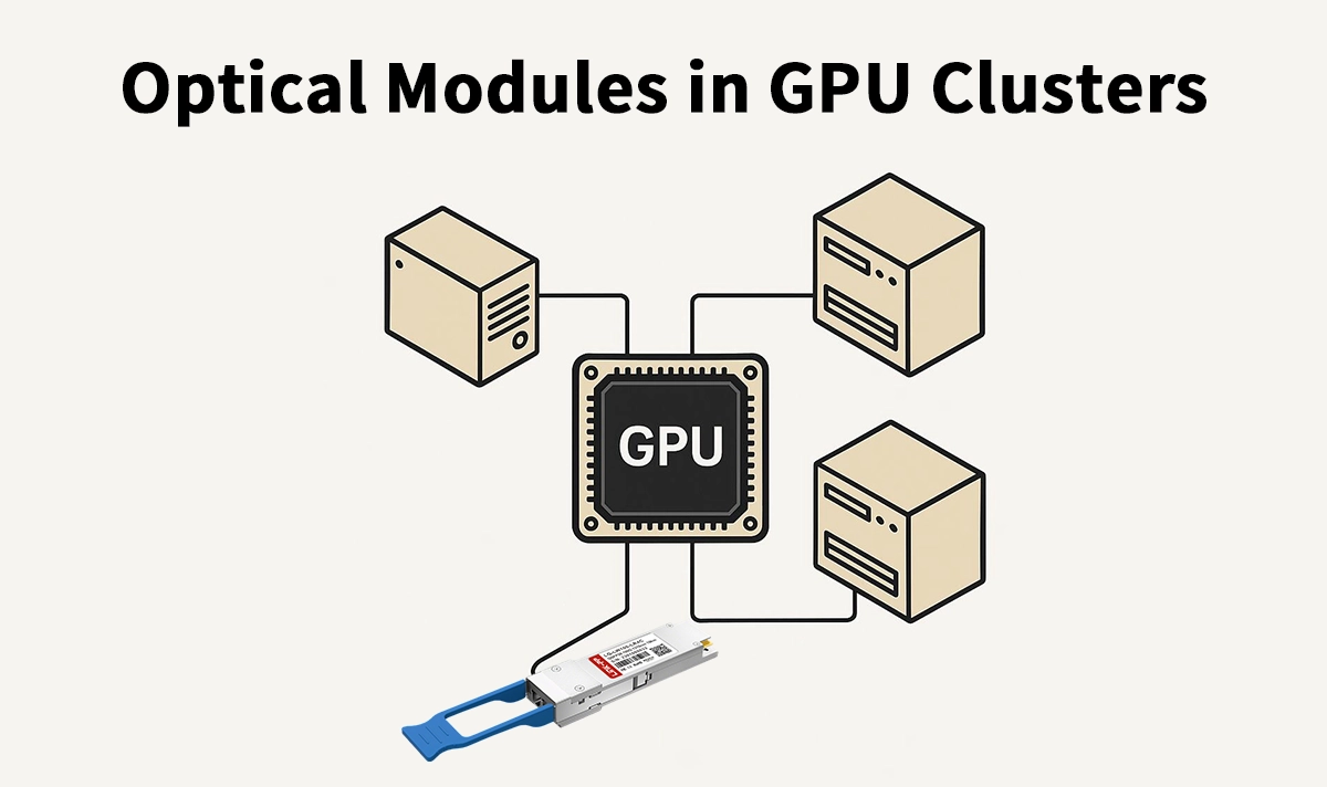 Optical Modules in GPU Clusters