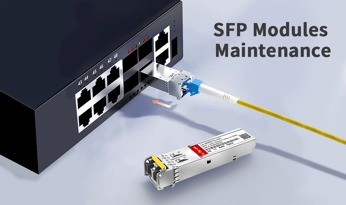SFP Modules Maintenance